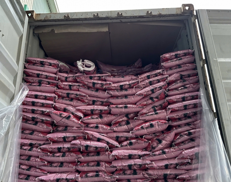 Định Hướng Phát Triển